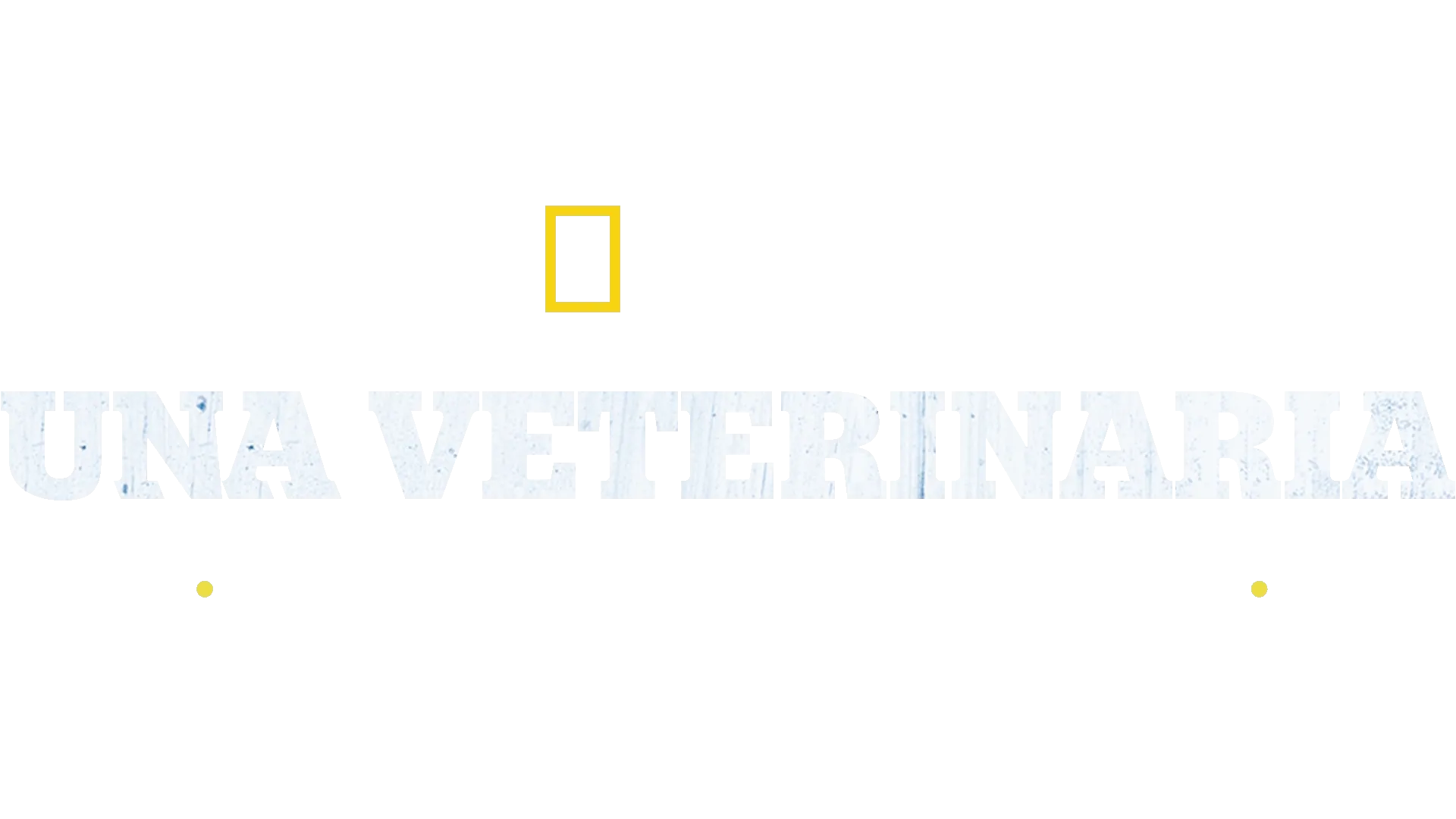 Una veterinaria todoterreno