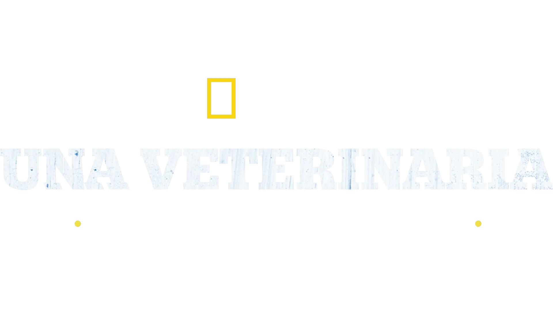 Una veterinaria todoterreno