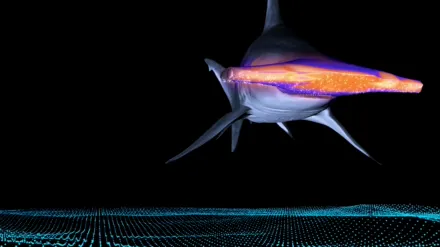 Mega Hammerhead