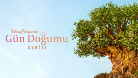 thumbnail - Disney Parklarında Gün Doğumu Serisi