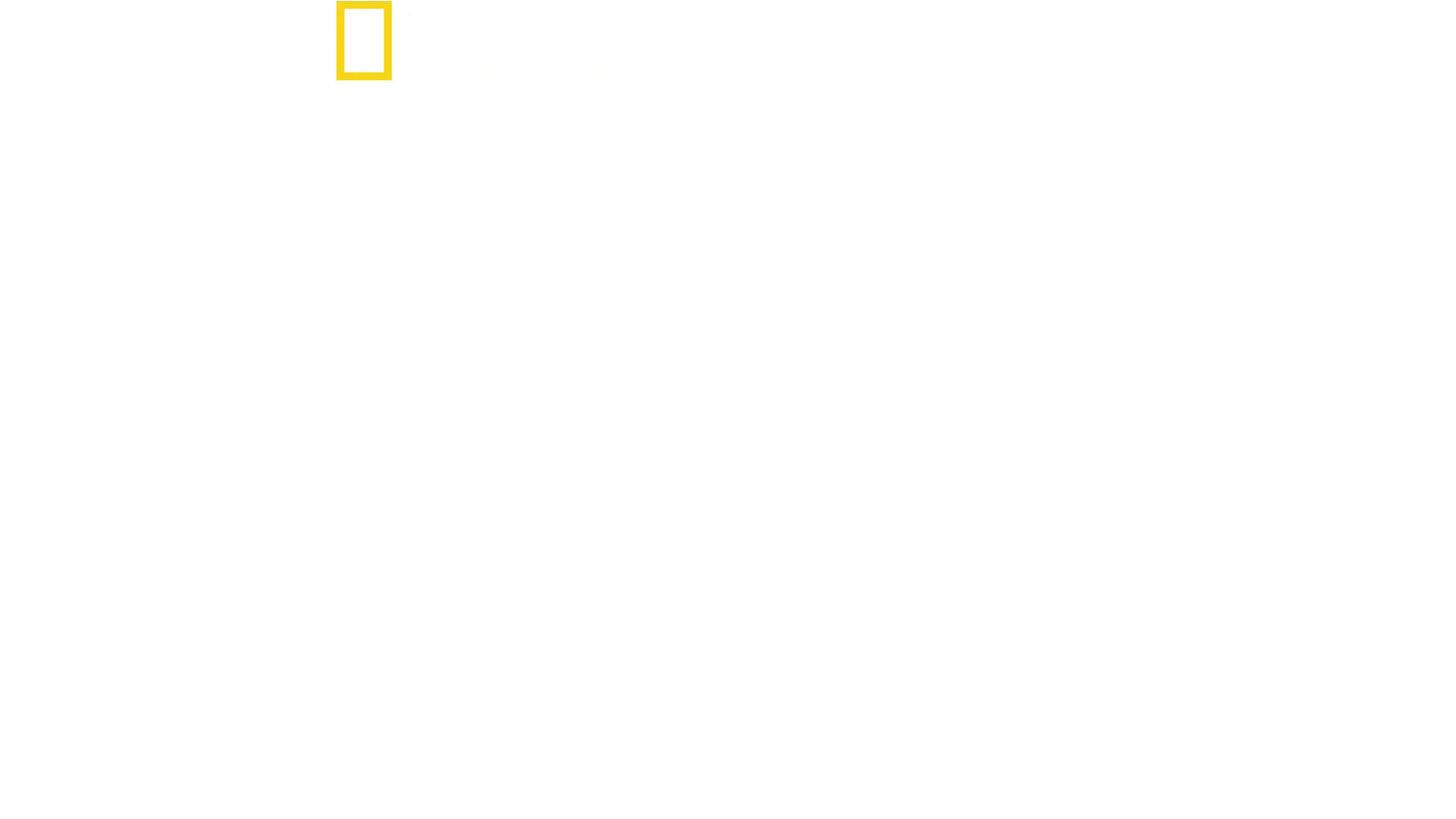 Man vs Puma