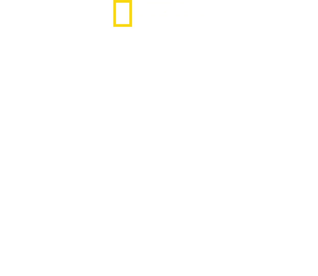 Man vs Puma