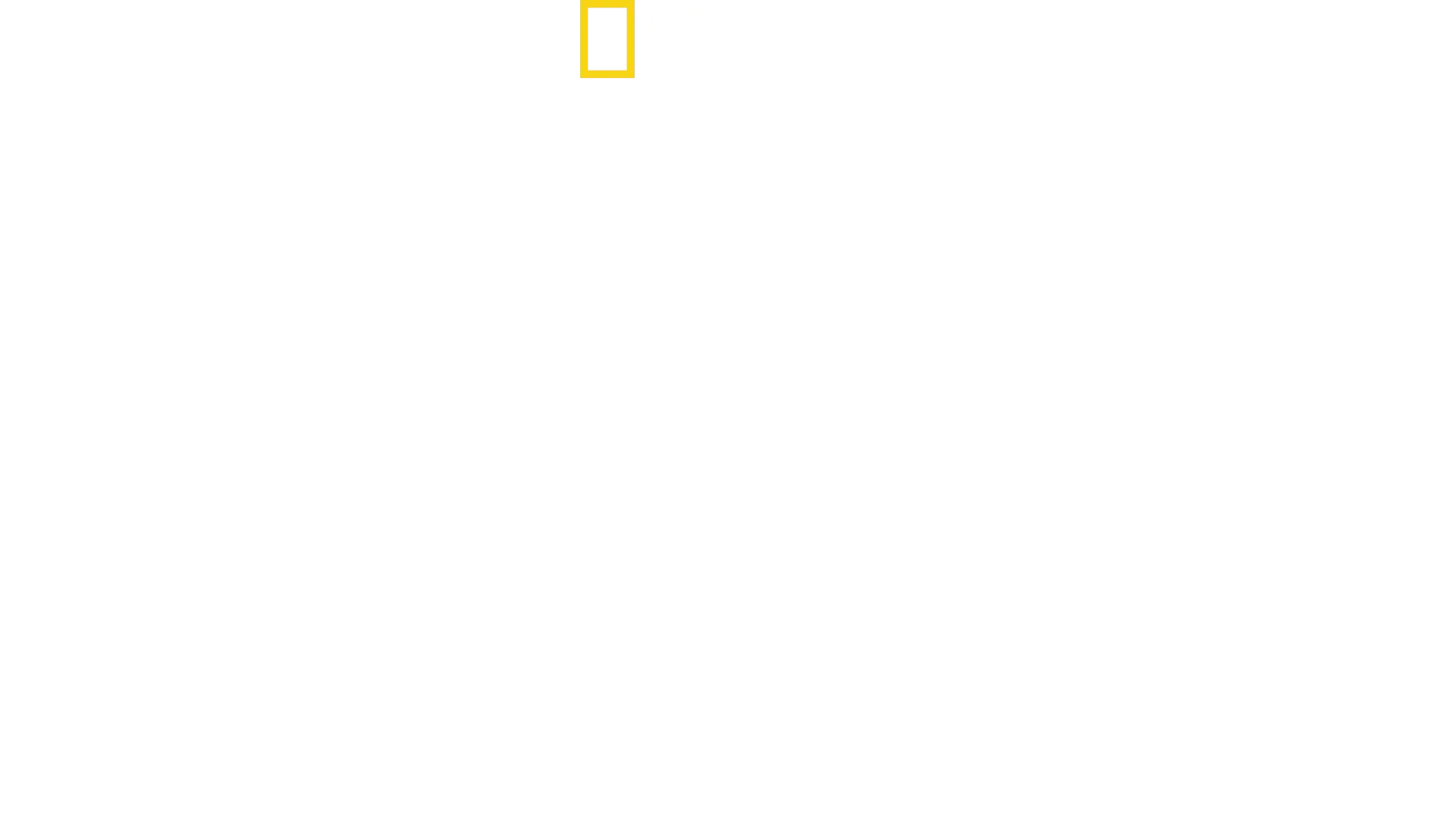 Jane Goodall: Håpet