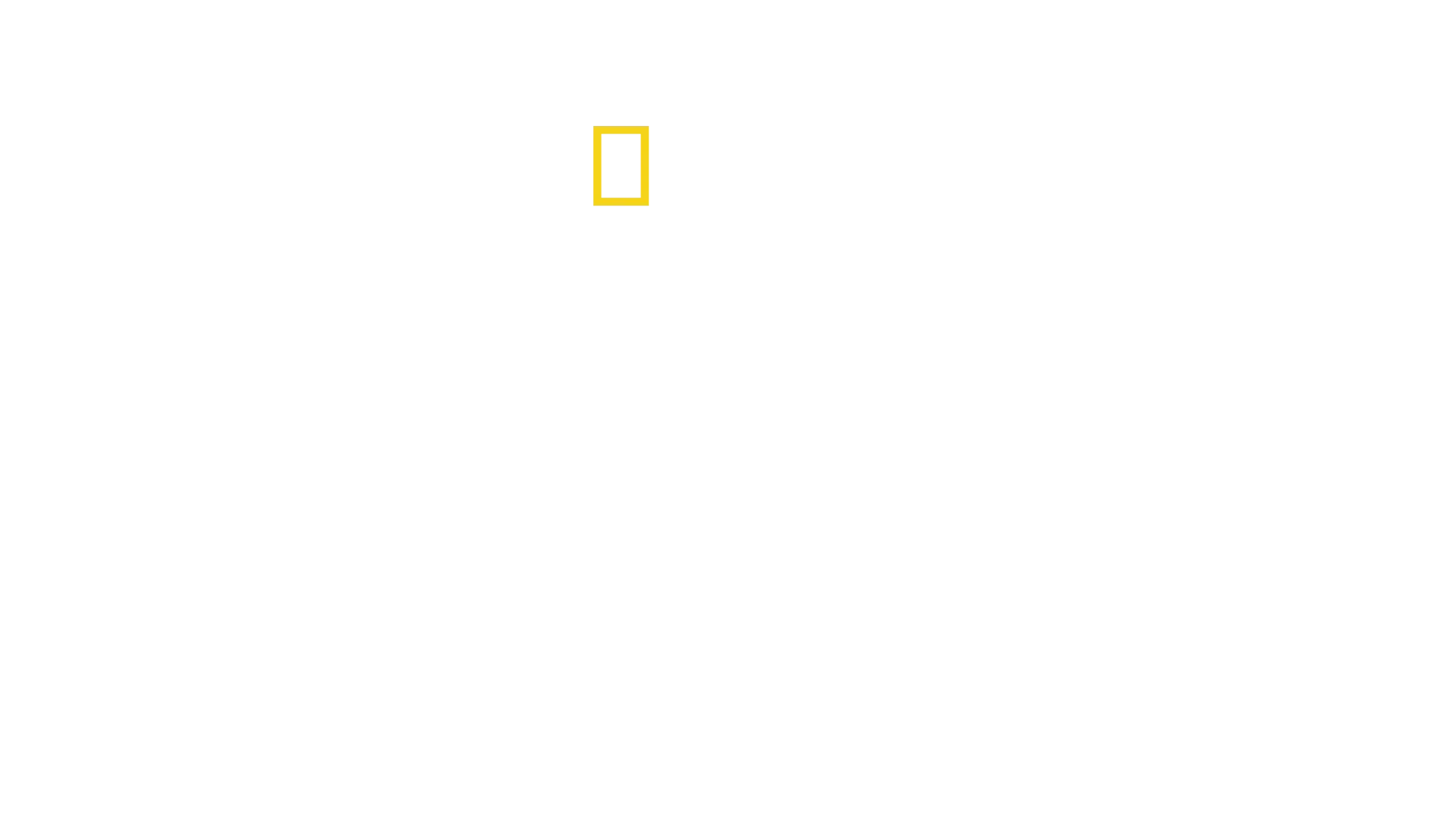 Hitler The Junkie
