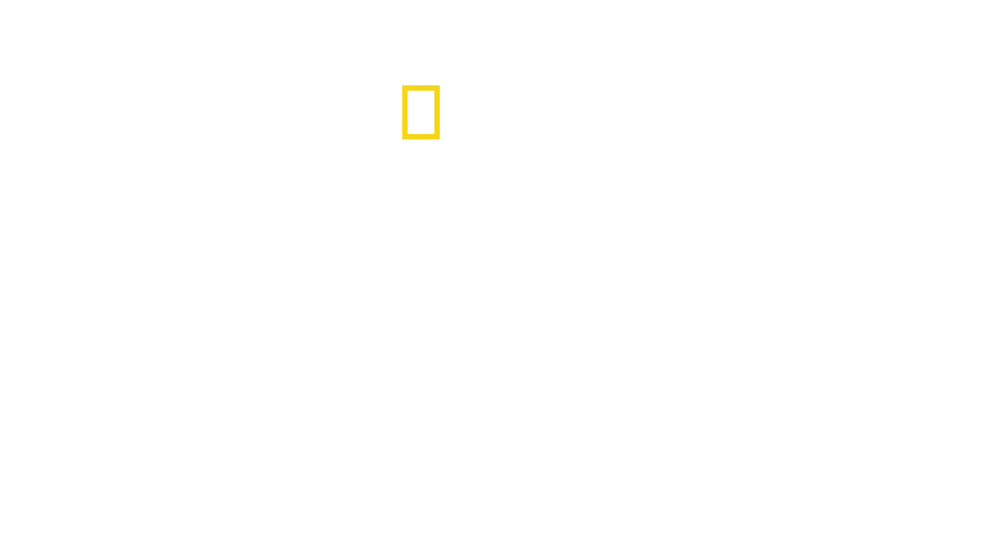 Hitler The Junkie