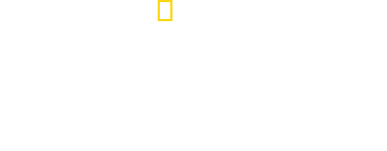 Hitler The Junkie