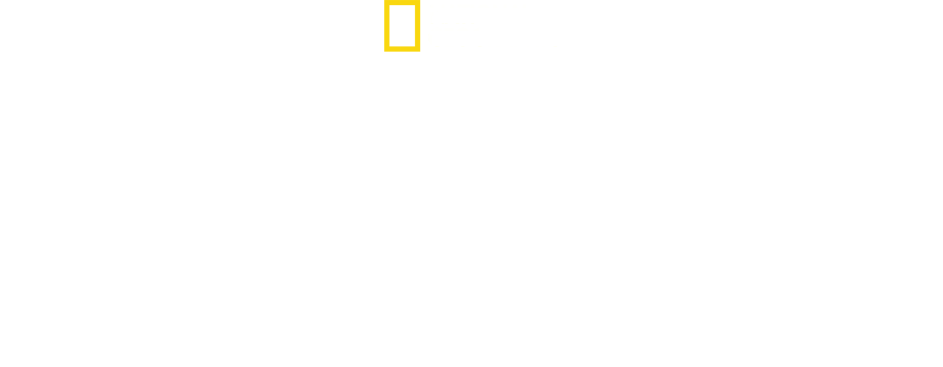 Hitler The Junkie