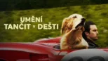 thumbnail - Umění tančit v dešti
