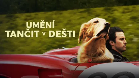 thumbnail - Umění tančit v dešti