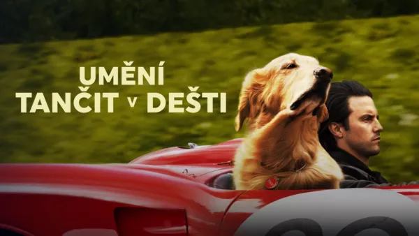thumbnail - Umění tančit v dešti