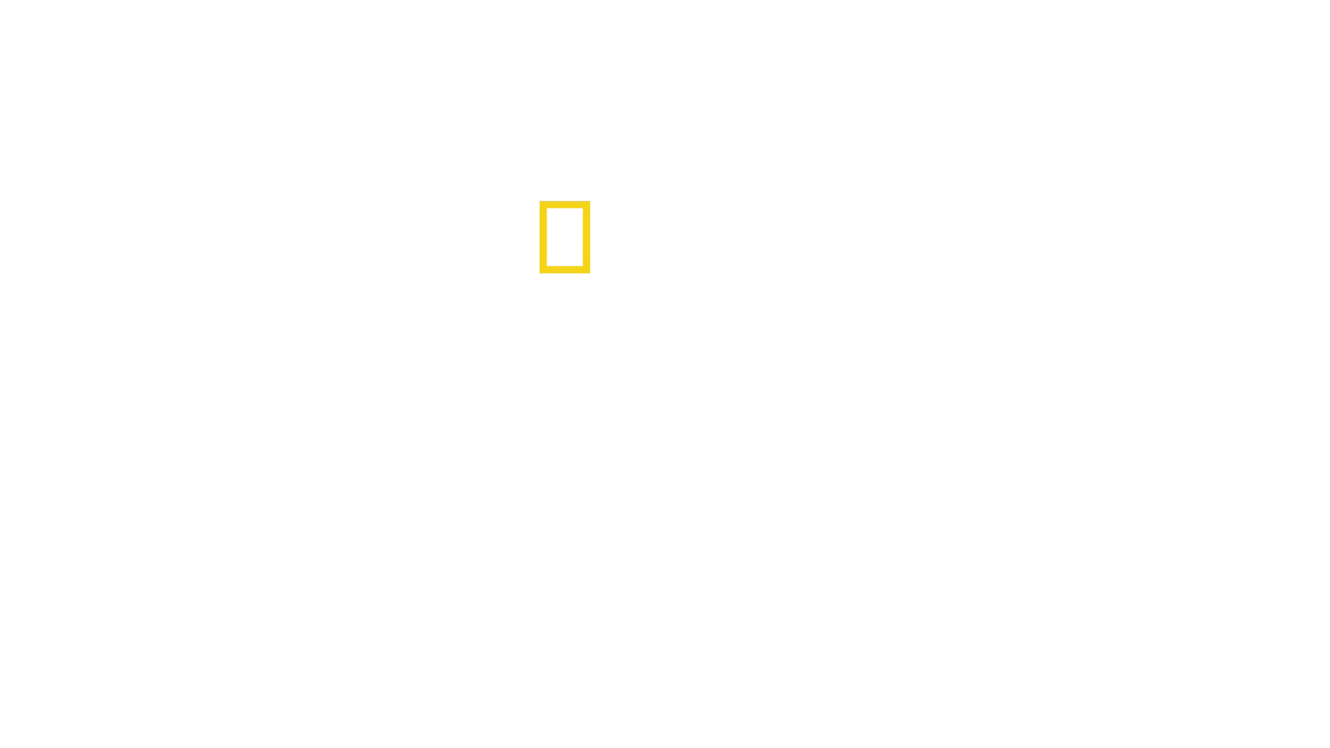Drugs Inc Special, Mit liv som narkohandler