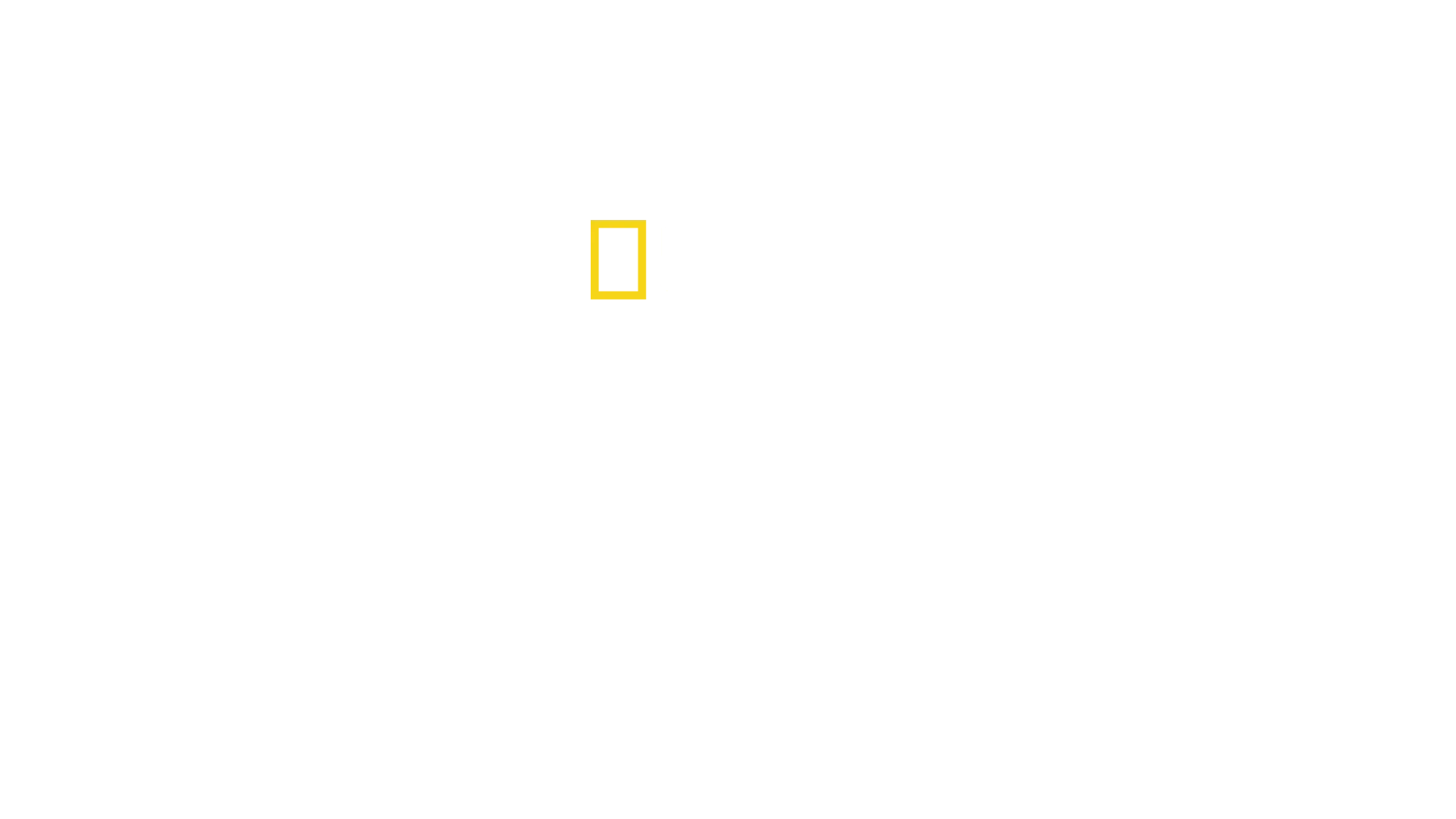 Drugs Inc Special, Mit liv som narkohandler