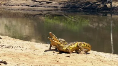 thumbnail - S6:E5 Enemy Within