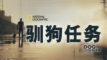 thumbnail - 驯狗任务