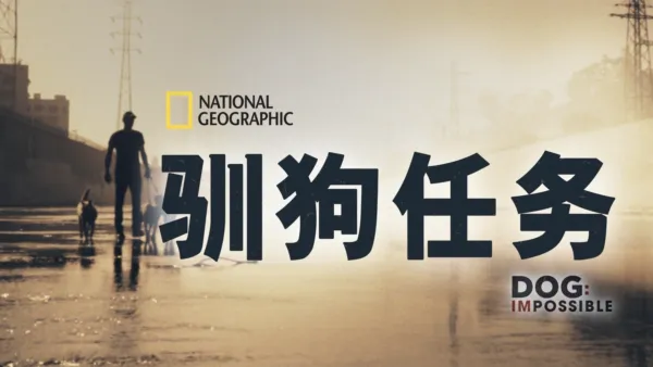 thumbnail - 驯狗任务