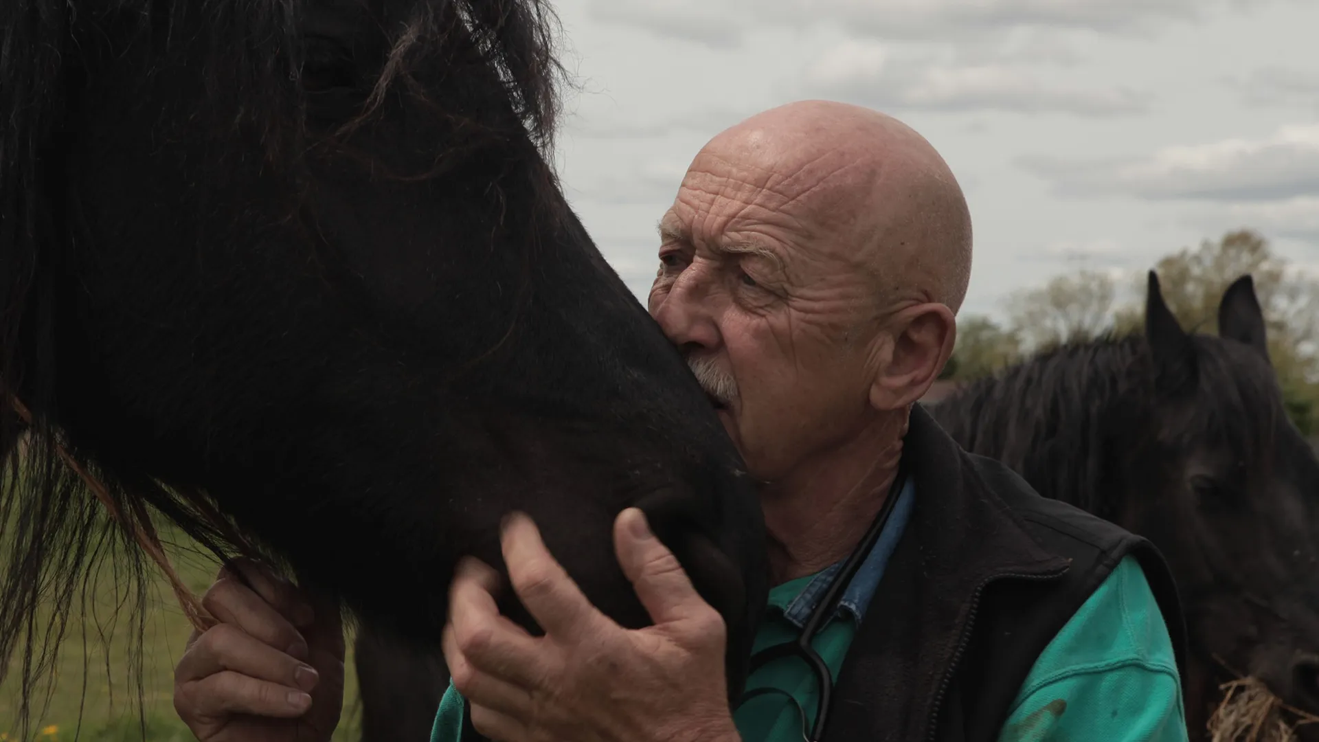 thumbnail - S1:E2 How Now Downed Cow?