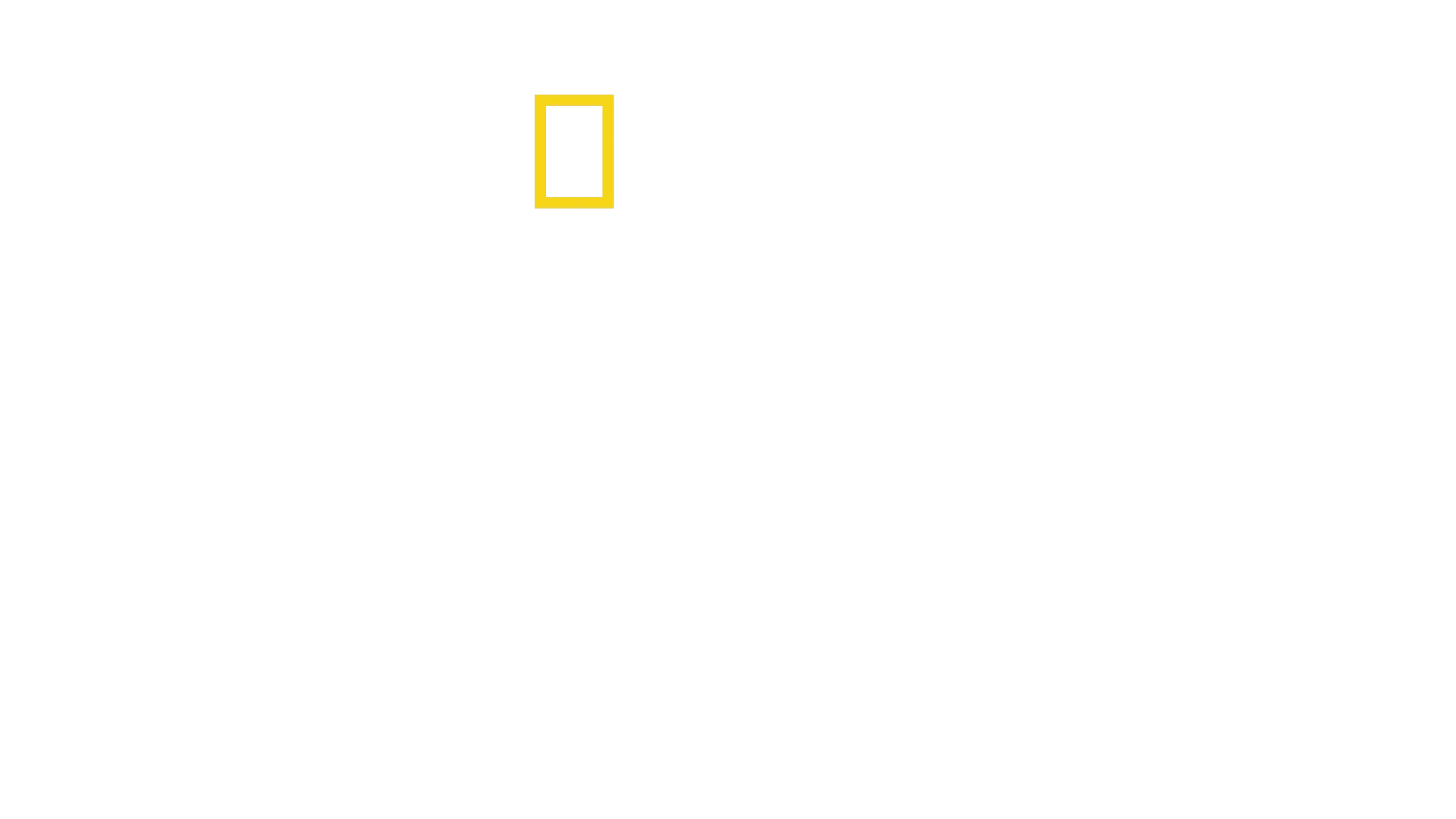 慈膳救援行動