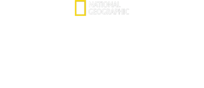 慈膳救援行動