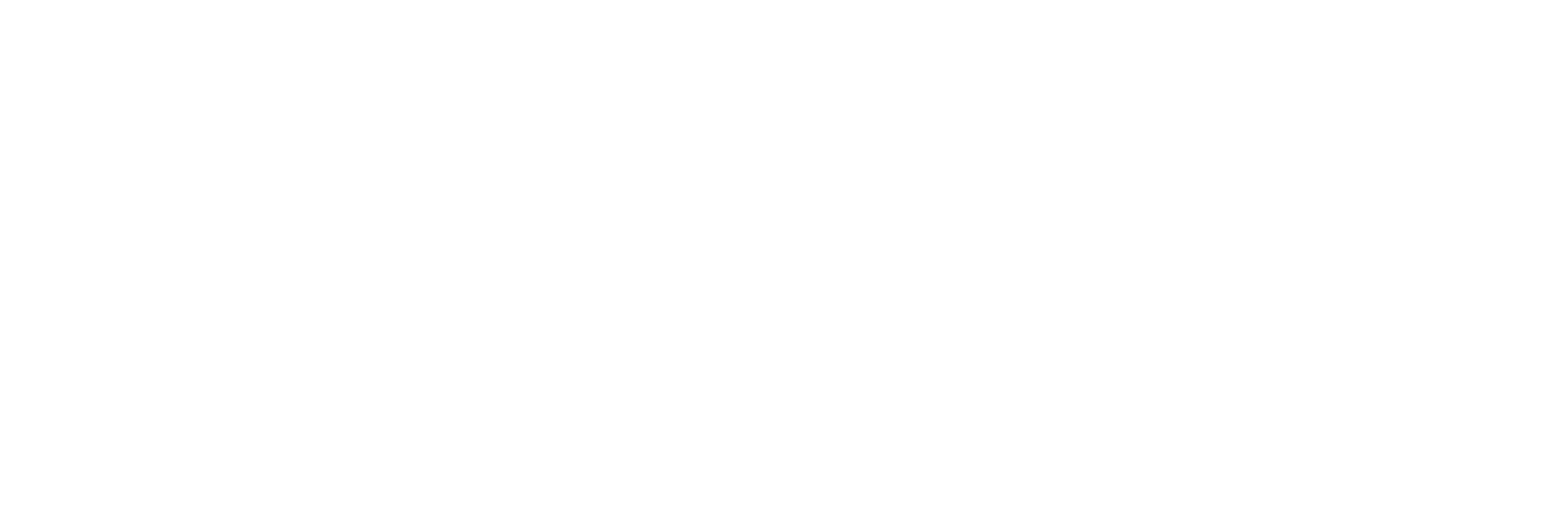도둑들