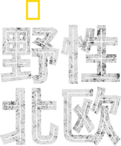 野性北欧
