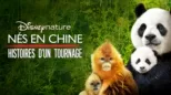 thumbnail - Nés en Chine : Histoires d’un tournage