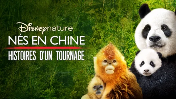 thumbnail - Nés en Chine : Histoires d’un tournage