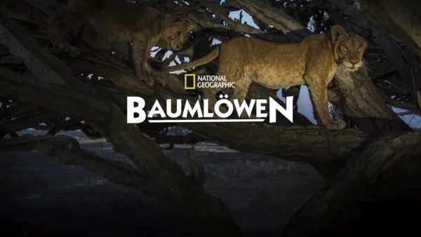 thumbnail - Baumlöwen: Rückkehr nach Uganda