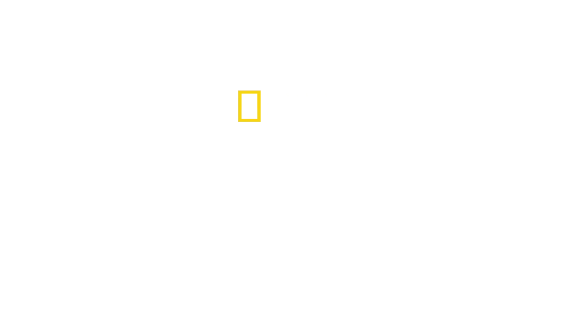 Top Guns: Die nächste Generation