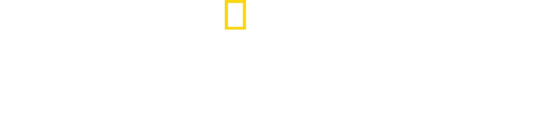 Top Guns: Die nächste Generation