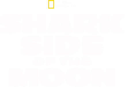 Shark Side of the Moon