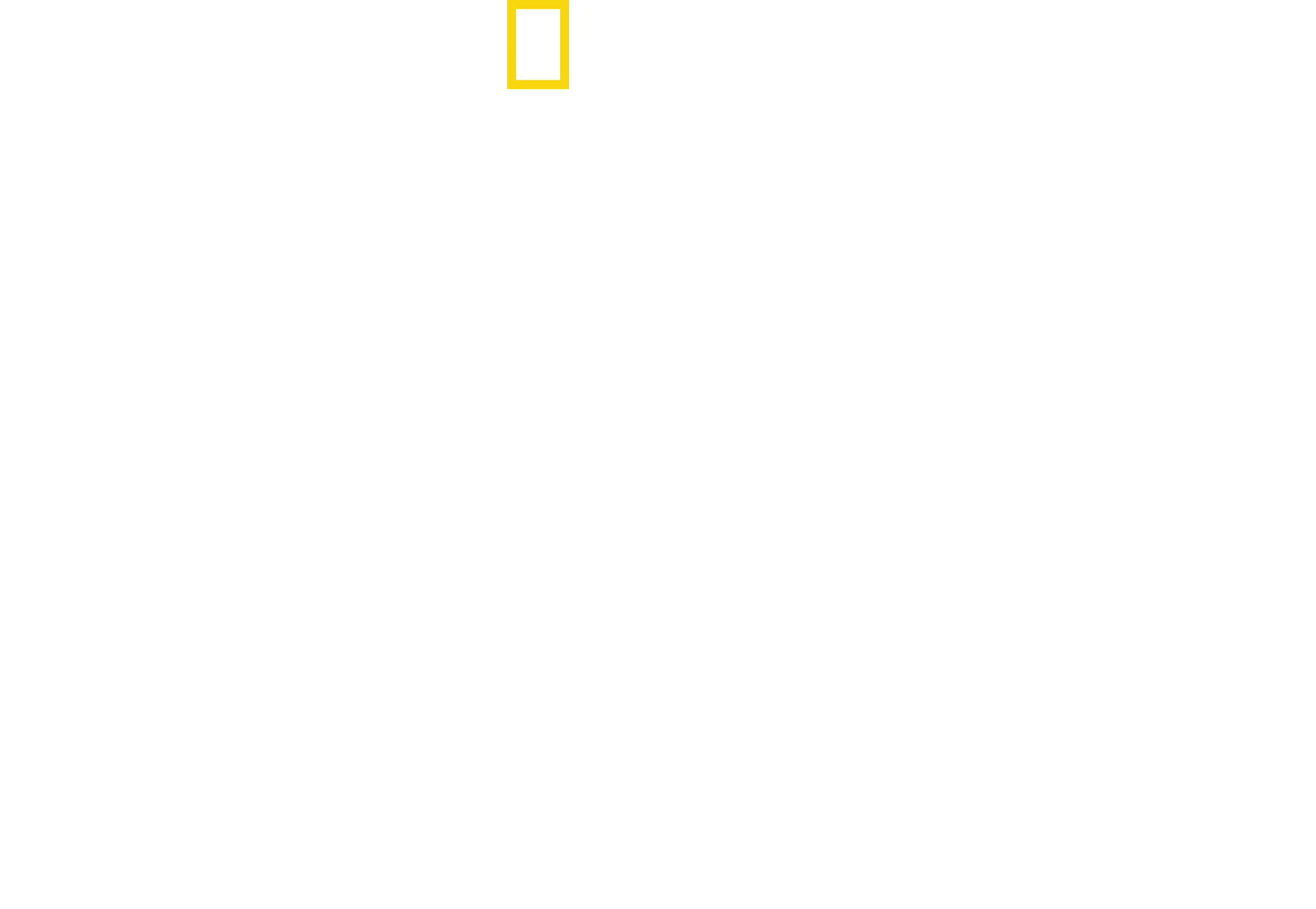 Shark Side of the Moon