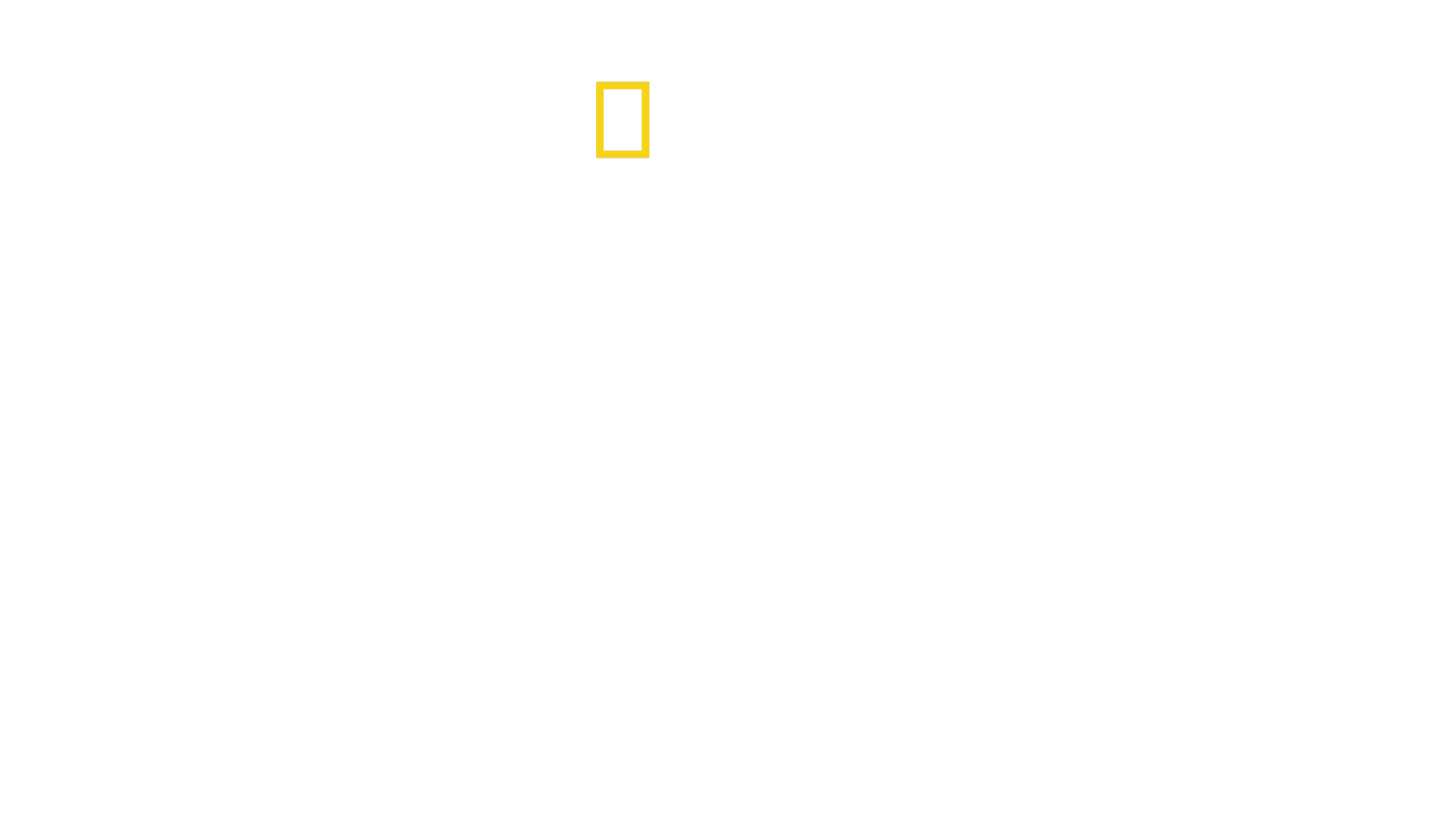David Blaine: Tohle doma nezkoušejte