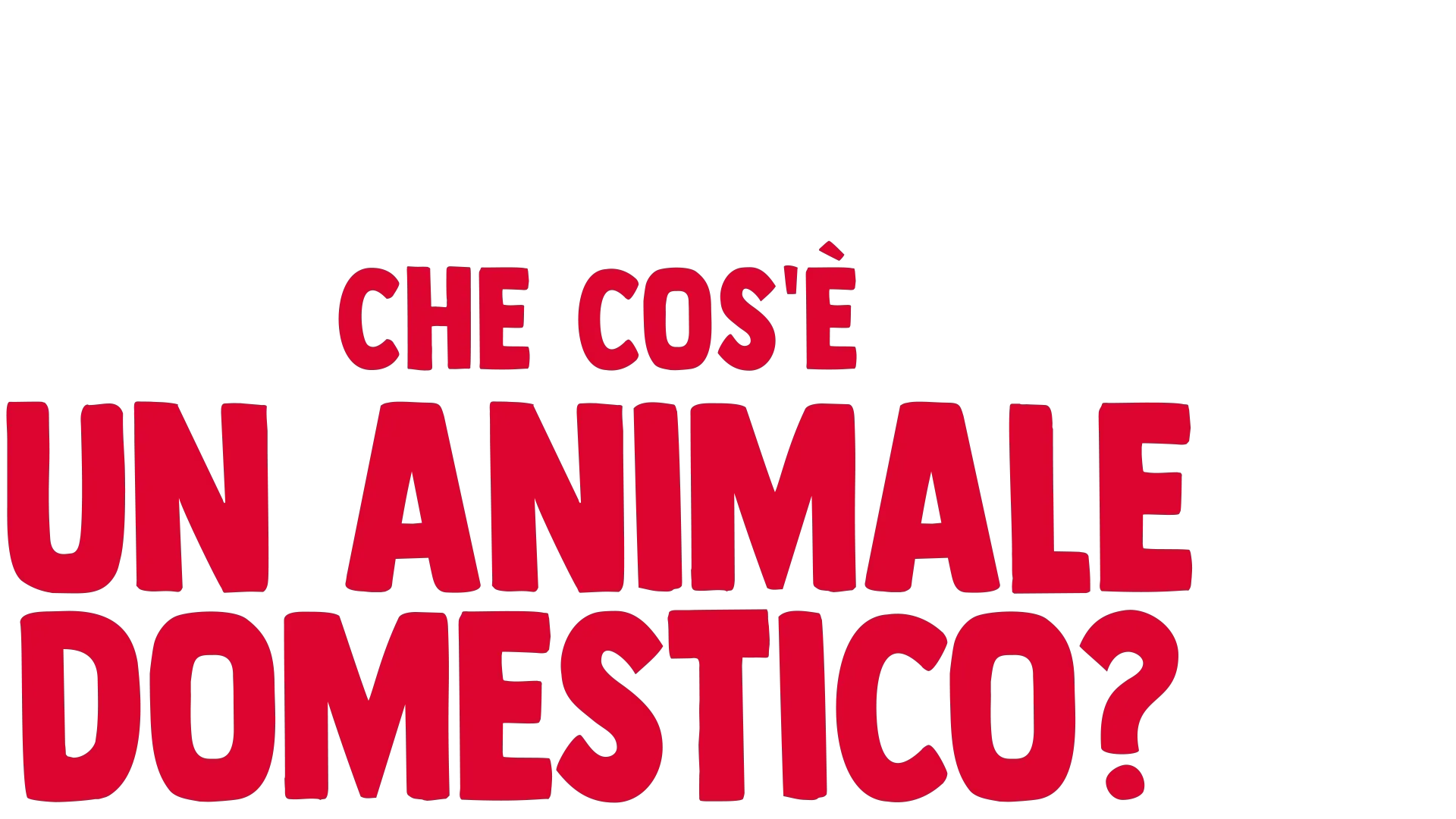 I perché di Forky: Che cos'è un animale domestico?