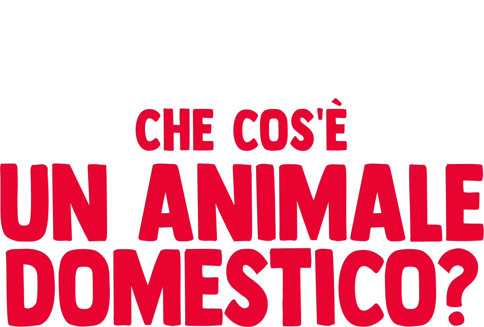 I perché di Forky: Che cos'è un animale domestico?