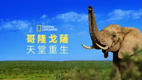 thumbnail - 哥隆戈薩：天堂重生