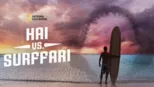 thumbnail - Hai vs. surffari