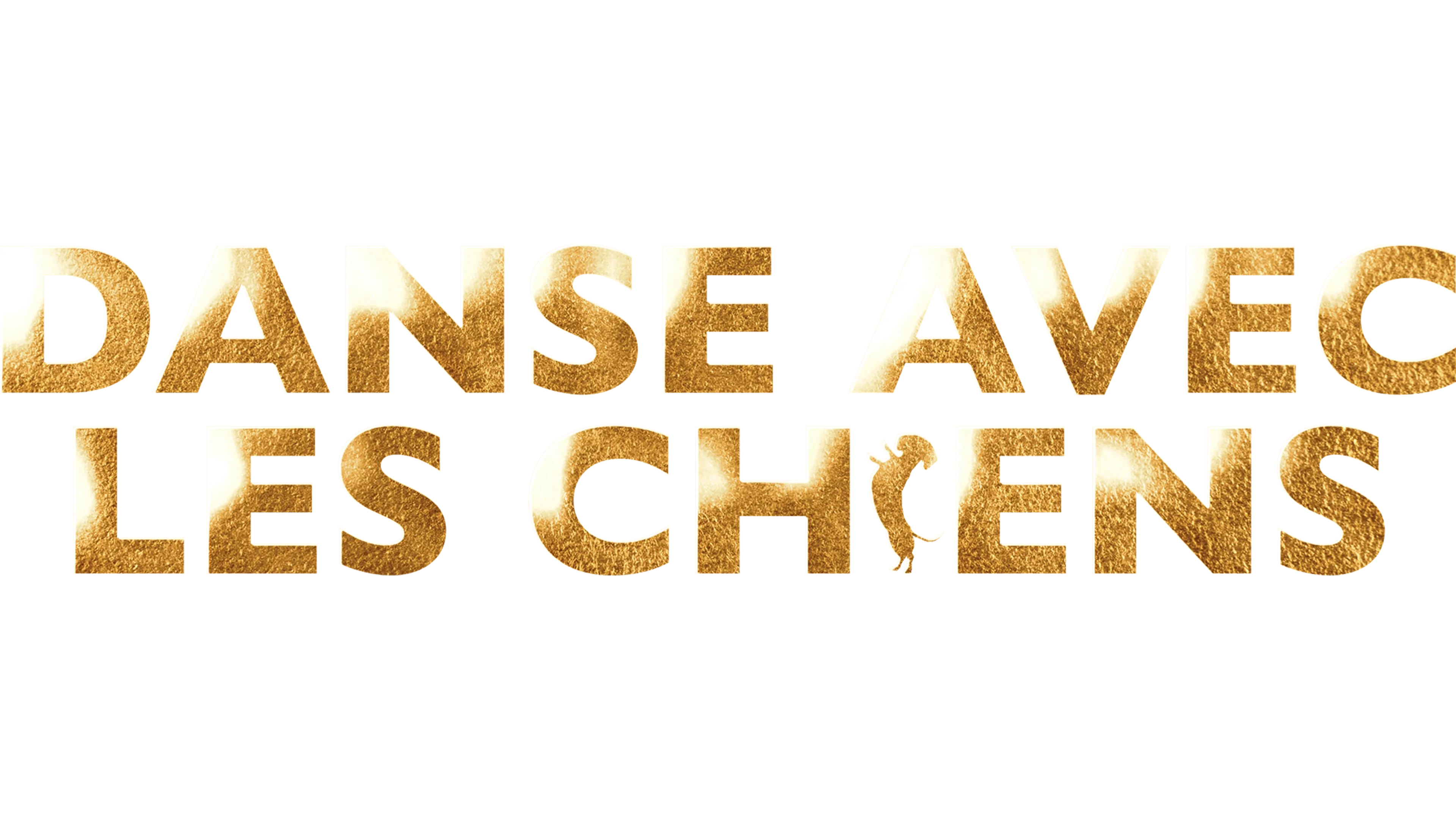 Danse avec les chiens