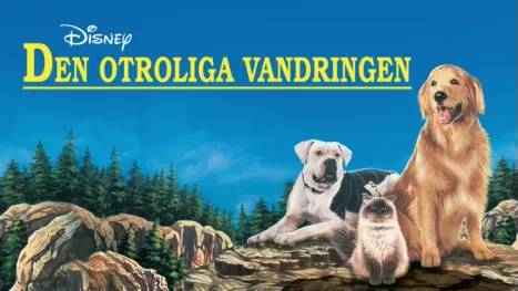 thumbnail - Den otroliga vandringen