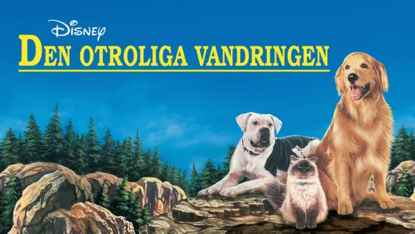 thumbnail - Den otroliga vandringen