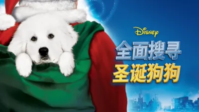 全面搜寻圣诞狗狗