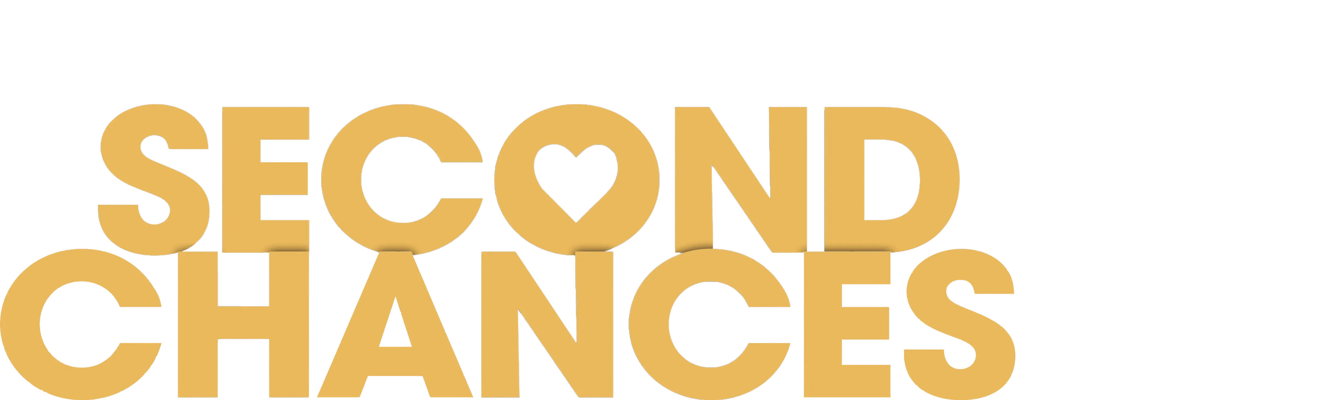 Married at First Sight: Second Chances