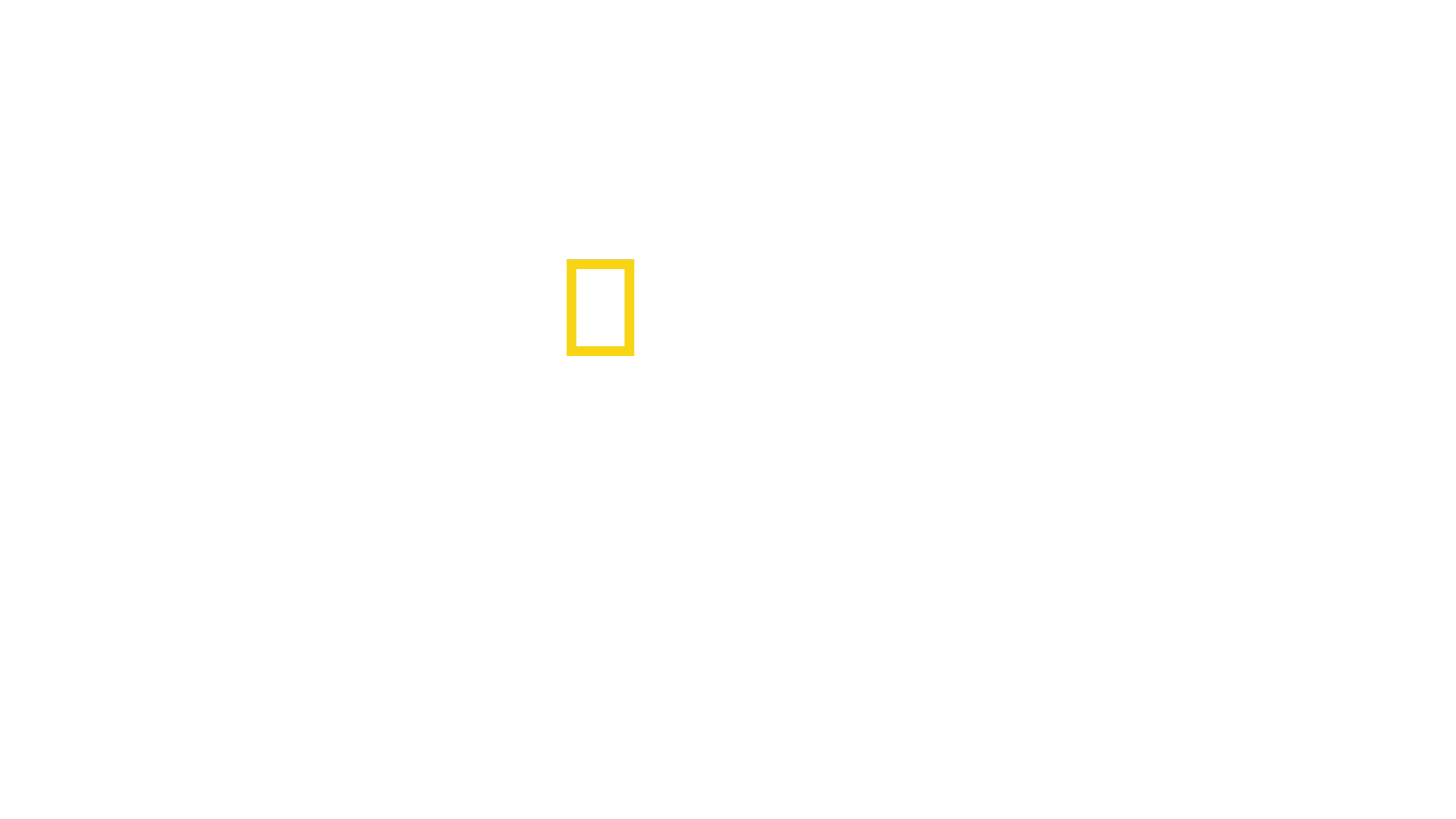 Tiburones vs. embarcaciones