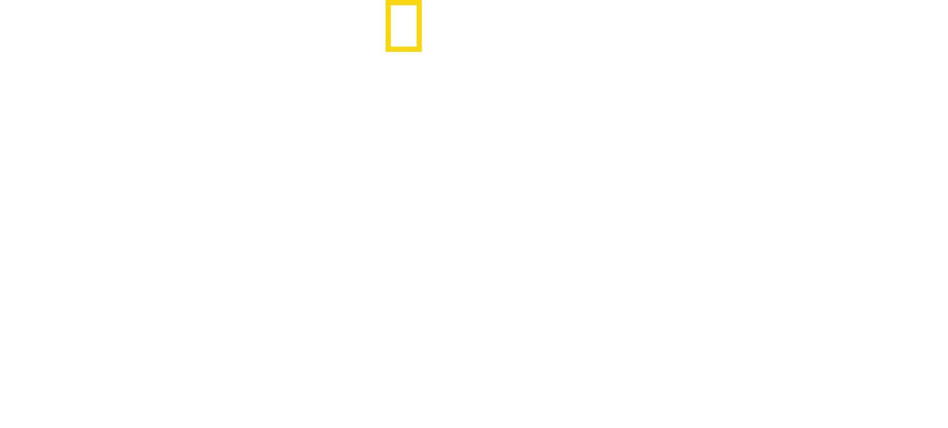 King Tut in Color