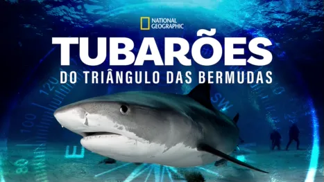 thumbnail - Sharks of The Bermuda Triangle