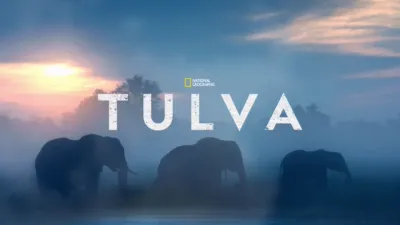 thumbnail - Tulva