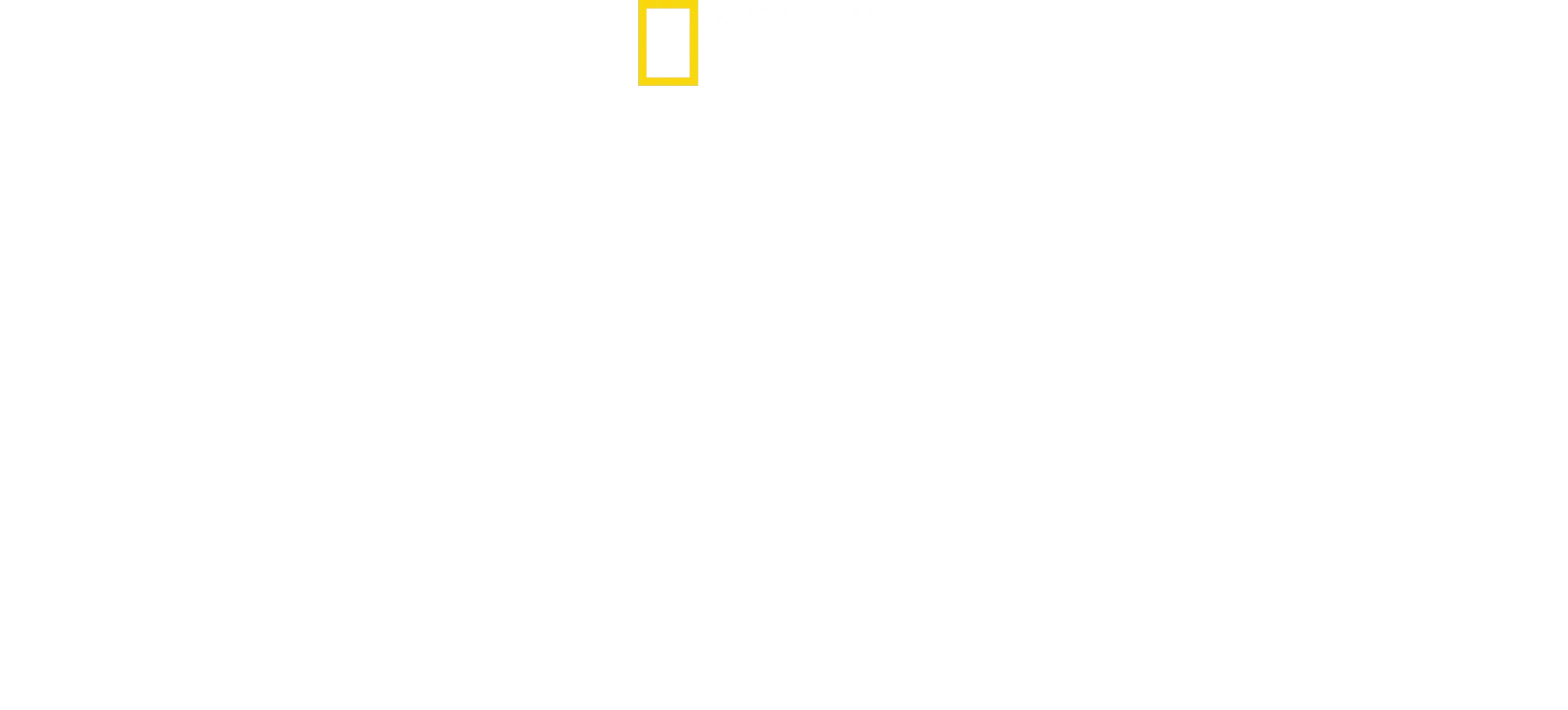 To Catch a Smuggler