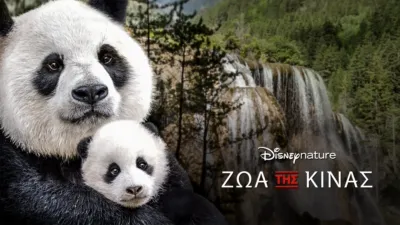 Ζώα της Κίνας