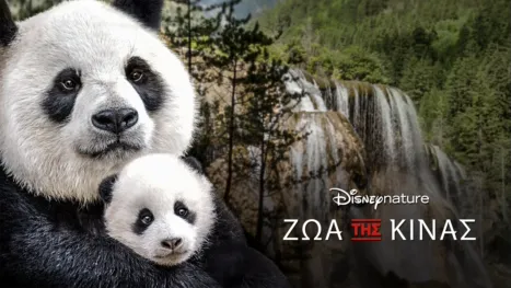 thumbnail - Ζώα της Κίνας