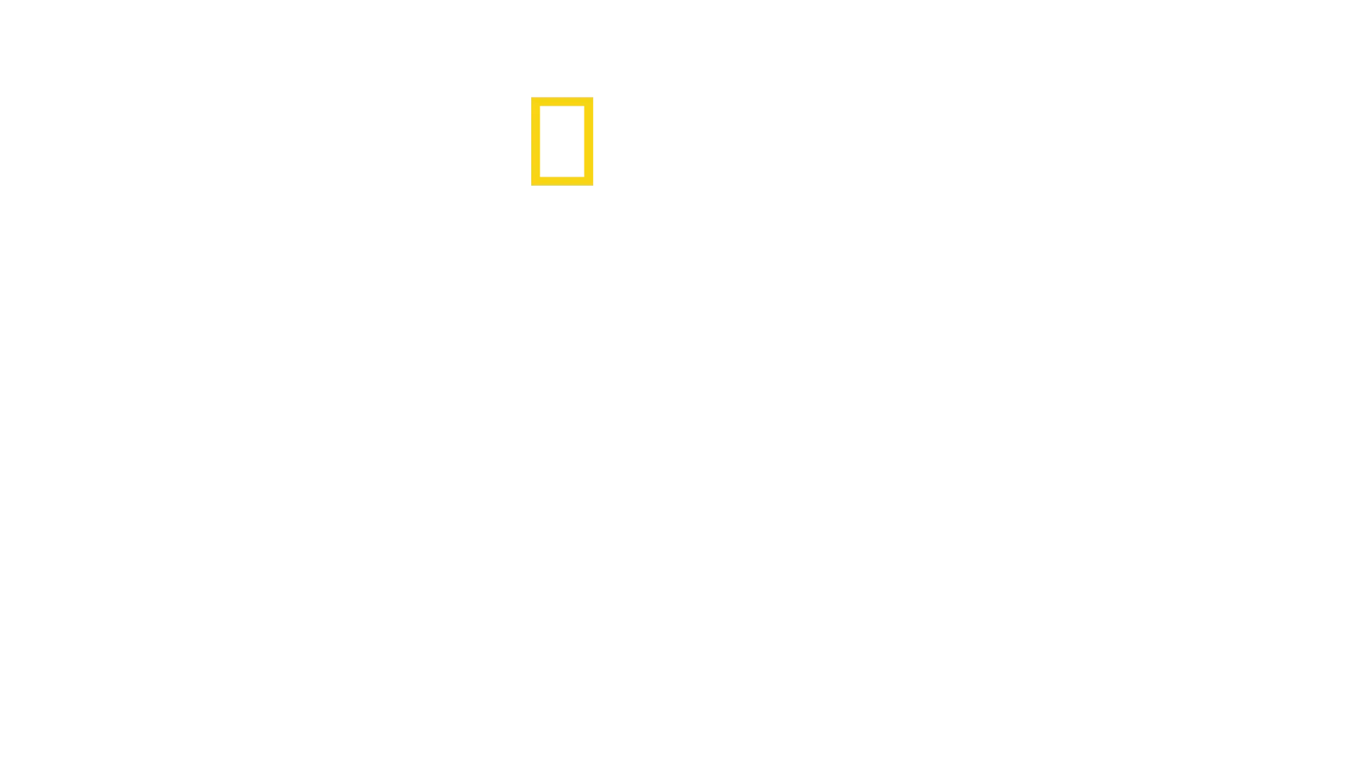 David Attenborough: Świat oceanów