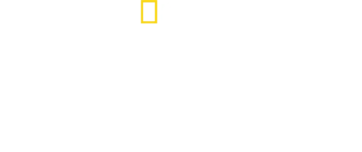 David Attenborough: Świat oceanów